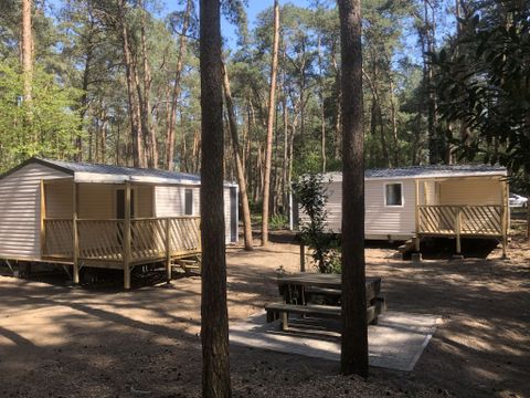Chaletpark Siësta - Camping Anvers - Image N°19