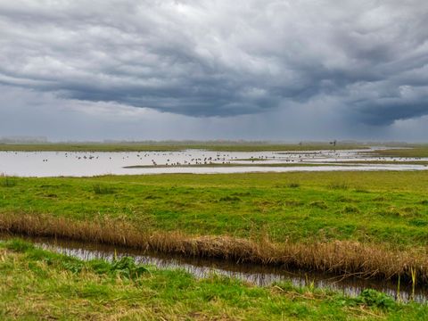 EuroParcs Texel - Camping Texel - Image N°6