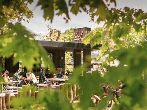 Soof Heuvelrug - Camping Rhenen - Image N°30