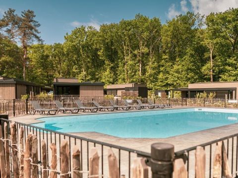 Soof Heuvelrug - Camping Rhenen - Image N°23