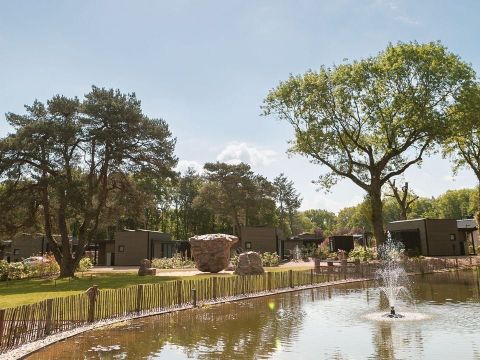 Soof Heuvelrug - Camping Rhenen - Image N°3