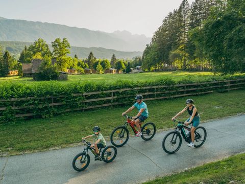 EuroParcs Pressegger See - Camping Carinthie - Image N°10