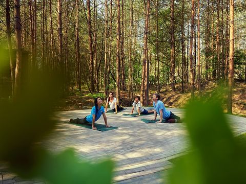 Terhills Resort by Center Parcs - Camping Limburg Belge - Image N°46