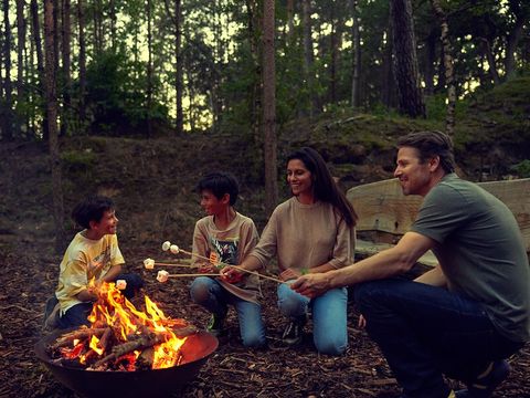 Terhills Resort by Center Parcs - Camping Limburg Belge - Image N°56