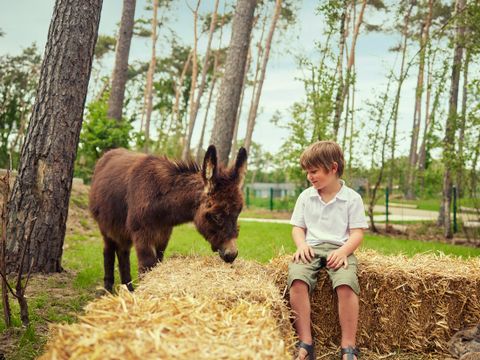 Terhills Resort by Center Parcs - Camping Limburg Belge - Image N°45
