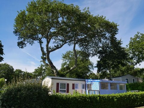 Tour Opérateur et particuliers sur camping Domaine de Kerlann - Funpass offert - Camping Finistère - Image N°13