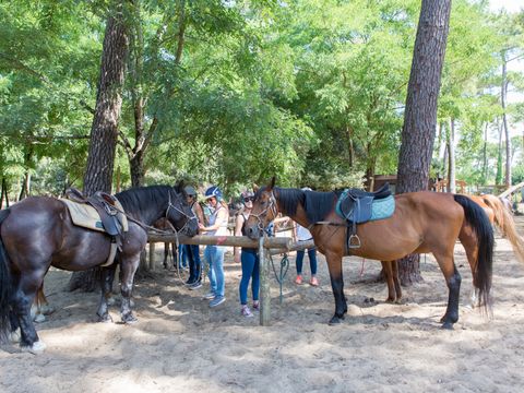 Tour Opérateur et particuliers sur camping La Pignade - Funpass offert - Camping Charente-Maritime - Image N°23
