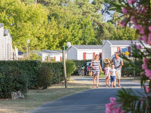 Tour Opérateur et particuliers sur camping La Pignade - Funpass offert - Camping Charente-Maritime - Image N°12