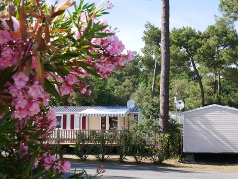 Tour Opérateur et particuliers sur camping La Pignade - Funpass offert - Camping Charente-Maritime - Image N°9