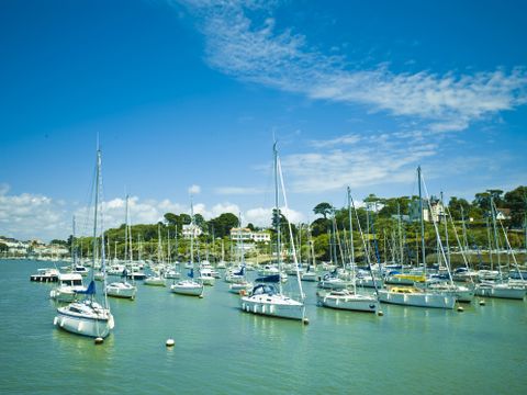 Tour Opérateur et particuliers sur camping Les Pierres Couchées Fun pass offert - Camping Loire-Atlantique - Image N°7