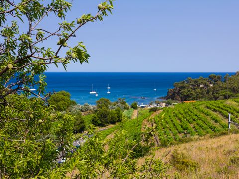 Tours Opérateurs et Particuliers sur Camping Siblu Club Le Marisol Funpass non inclus - Camping Pyrénées-Orientales - Image N°32