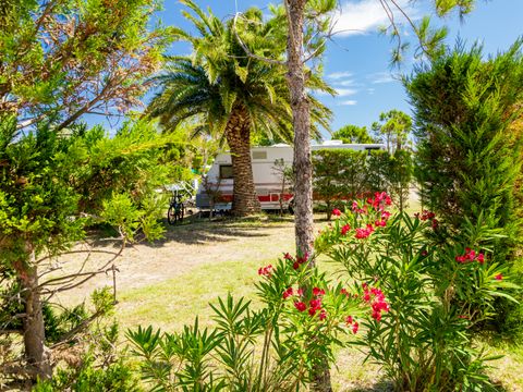 Tours Opérateurs et Particuliers sur Camping Siblu Club Le Marisol Funpass non inclus - Camping Pyrénées-Orientales - Image N°25