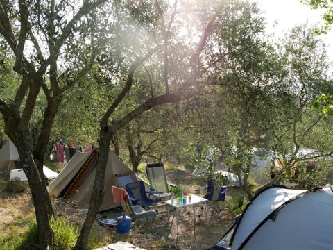 Emplacement - Tente familiale