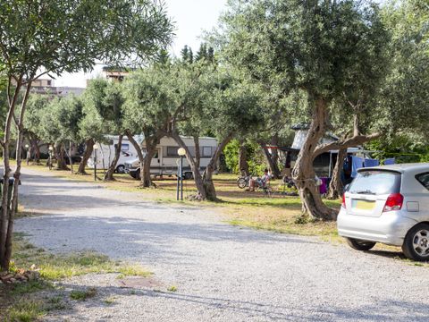 Camping Degli Ulivi - Camping Palerme - Image N°2