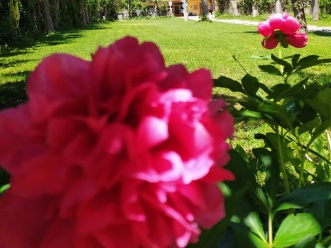 Camping Solau - Camping Lleida - Image N°3
