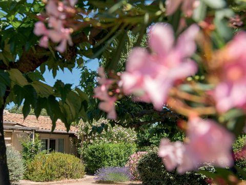 SOWELL - Résidence Les Lauriers Roses - Camping Hérault - Image N°20