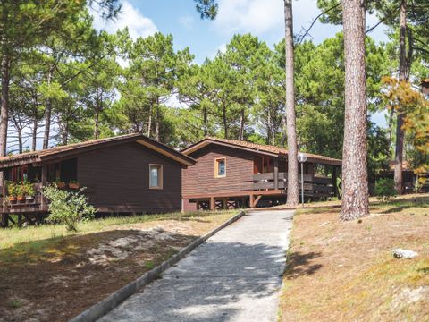 Chalet 4 personnes (Séjour + Petit-déjeuner)