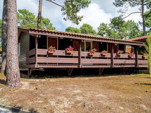 SOWELL - Domaine Les Sentes Carcans-Maubuisson - Camping Gironde - Image N°15