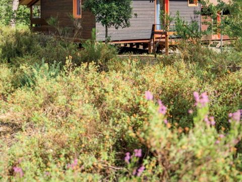 SOWELL - Domaine Les Sentes Carcans-Maubuisson - Camping Gironde - Image N°13