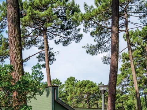 SOWELL - Domaine Les Cavales - Camping Gironde - Image N°19