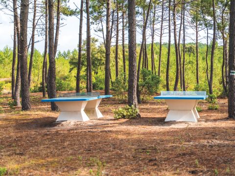 Domaine Les Cavales - Camping Gironde - Image N°11