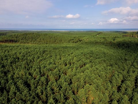 SOWELL - Domaine Les Cavales - Camping Gironde - Image N°23