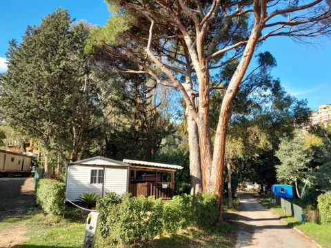 Camping La Provençale - Camping Alpes-Maritimes - Image N°14