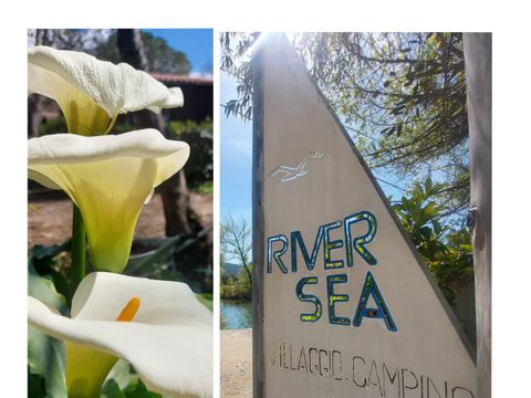 Camping River Sea - Camping Salerne
