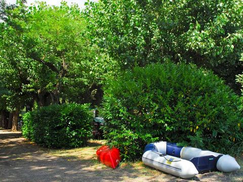 Camping Val di Sole - Camping Viterbe - Image N°6
