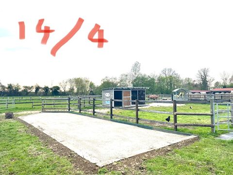 Camping et Relais équestre des Maupi - Camping Orne - Image N°6