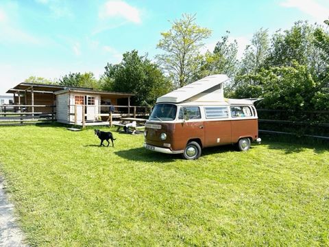Camping et Relais équestre des Maupi - Camping Orne - Image N°3