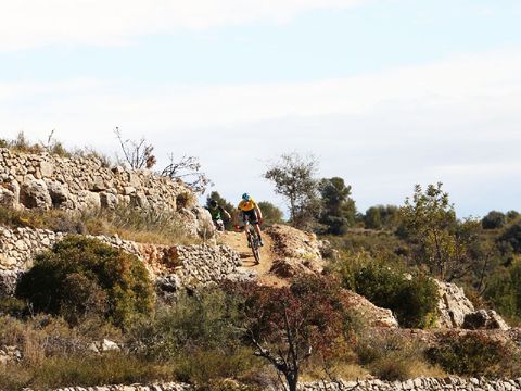 Emplacement - Parcela Standar