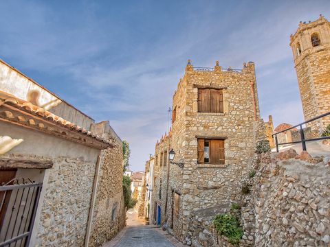 Ciudad del Ciclismo - Camping Castellón - Image N°45