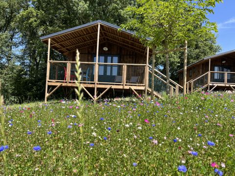 LODGE 5 personnes - Cabane Lodge Familiale (29 m² - 2 ch)