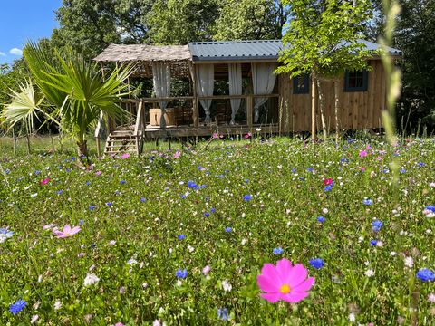 LODGE 2 personnes - Cabane Lodge duo SPA (17 m² - 1 ch)