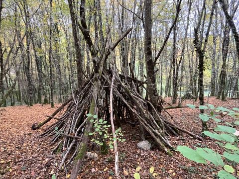 La Buissonnière Lodges - Camping Indre-et-Loire - Image N°61
