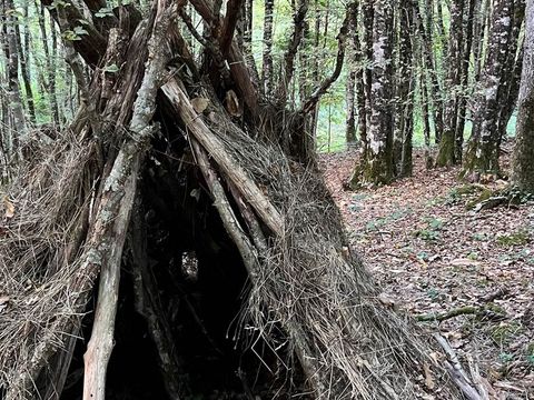 La Buissonnière Lodges - Camping Indre-et-Loire - Image N°54