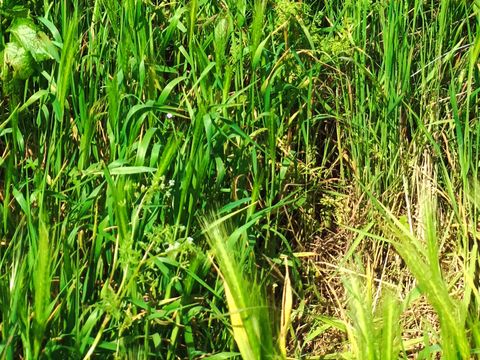 Caravane 2 personnes - Caravane 2 personnes - Bohème