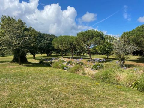 Damona Lodges - Camping Vendée - Image N°18