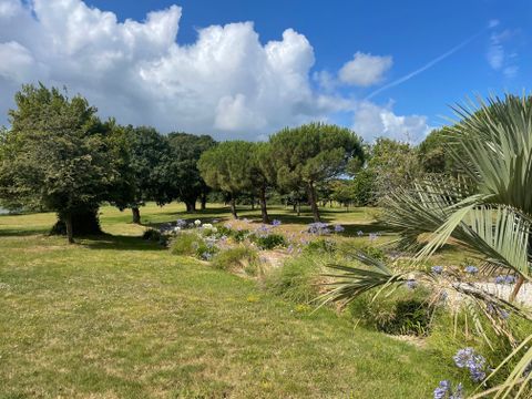 Damona Lodges - Camping Vendée - Image N°9