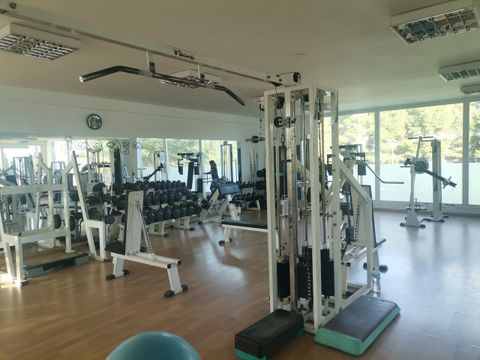 Camping Albox - Camping Almería - Image N°4