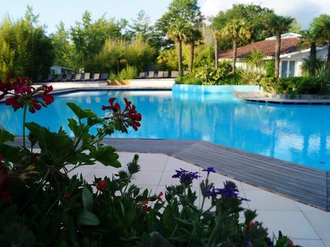 Kampaoh Mézos - Camping Landes - Image N°6