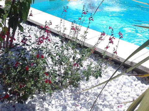 Camping les Landes d'Armagnac - Camping Landes - Image N°6