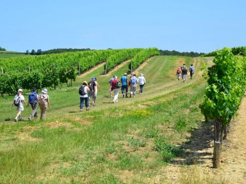 Camping Xtrem Village - Camping Lot-et-Garonne - Image N°10