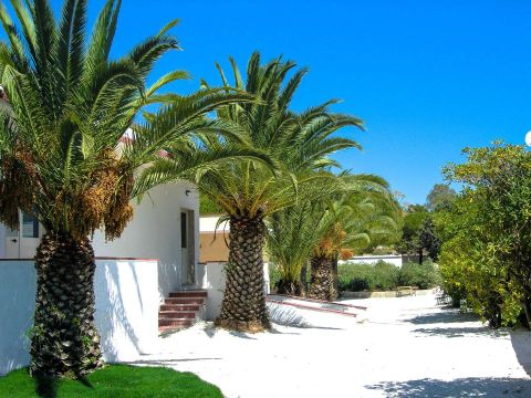 Camping Villaggio Tiziana - Camping Tarente - Image N°3