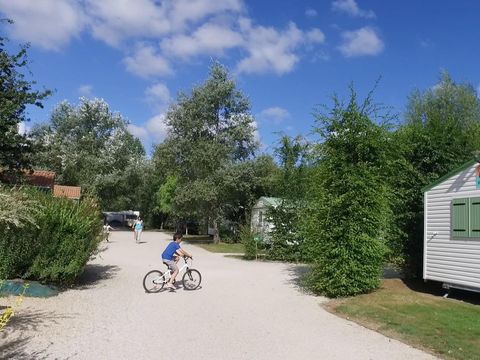 Camping Les Charmes - Camping Vendée - Image N°22