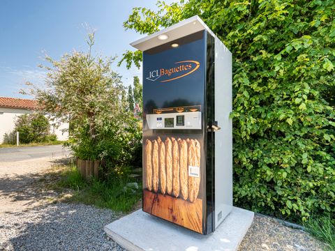 Camping Les Charmes - Camping Vendée - Image N°16