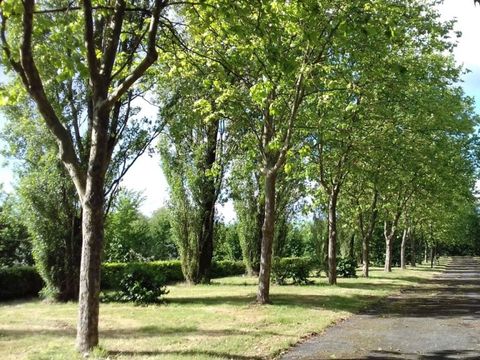 Camping le Petit Bocage - Camping Vendée - Image N°8