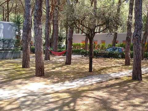 Villaggio La Mantinera - Camping Cosenza - Image N°13