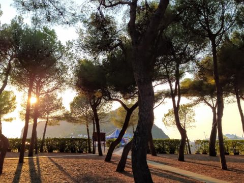 Villaggio La Mantinera - Camping Cosenza - Image N°36